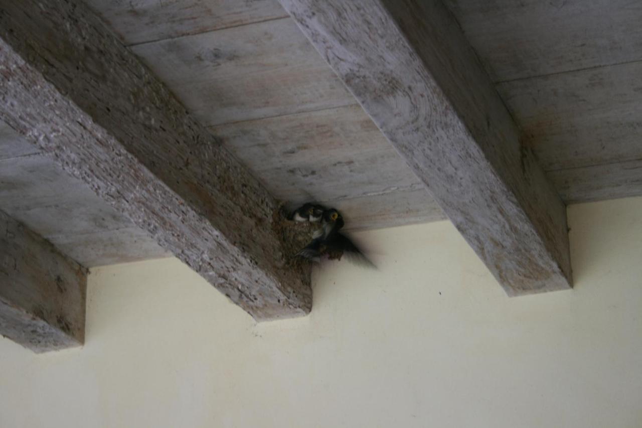 L'Unicorno Agriturismo Bedizzole Kültér fotó