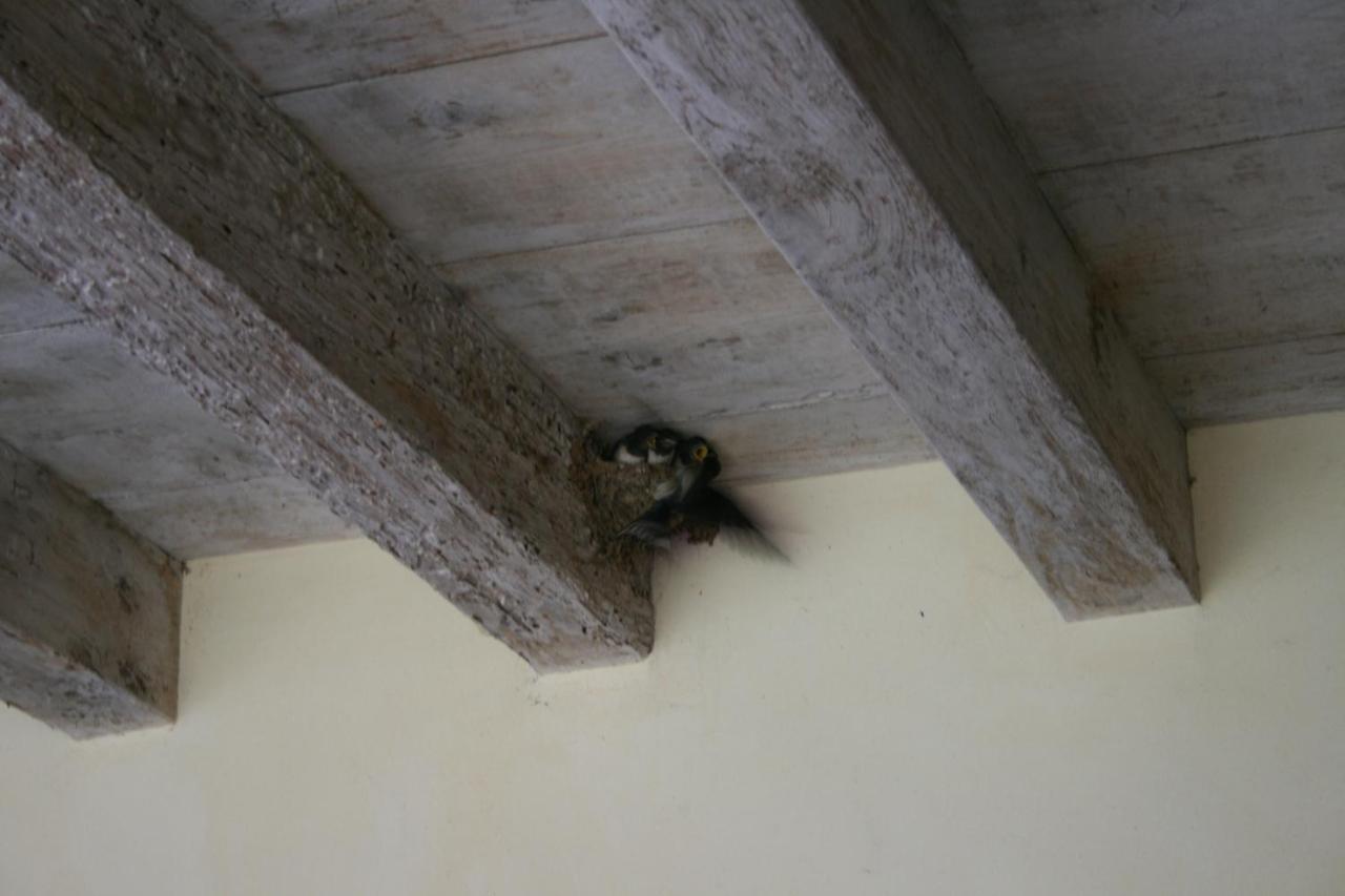 L'Unicorno Agriturismo Villa Bedizzole Kültér fotó